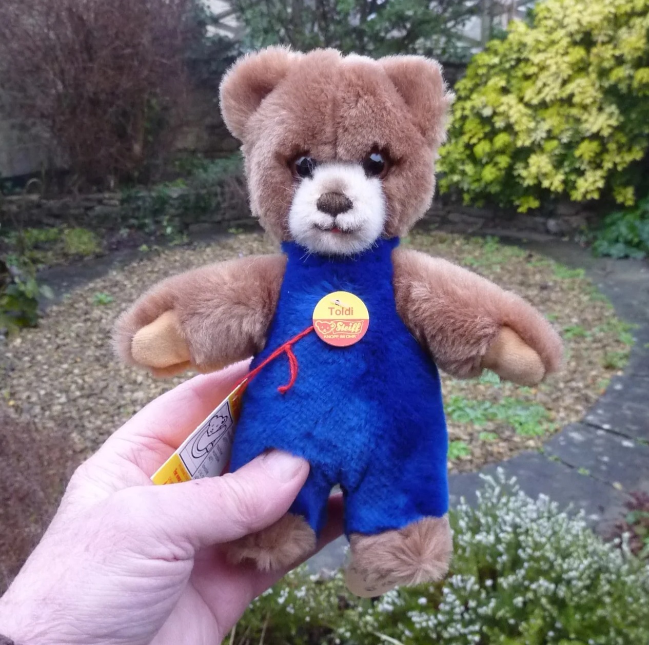 画像1: 大変貴重なお品です！ シュタイフ社アーカイブより Toldi Bear 20cm 1982年（ビンテージ）