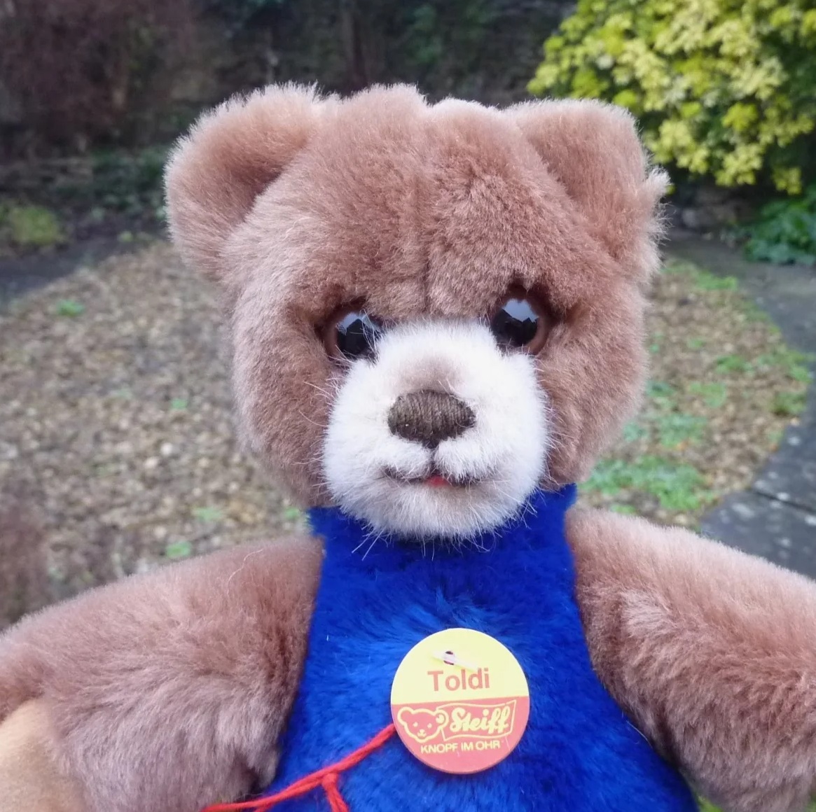 画像: 大変貴重なお品です！ シュタイフ社アーカイブより Toldi Bear 20cm 1982年（ビンテージ）