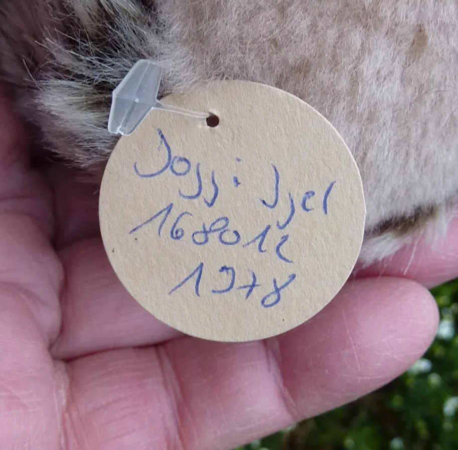 画像: 大変貴重なお品です！ シュタイフ社アーカイブより Joggi Hedgehog 12cm 1978年（ビンテージ）