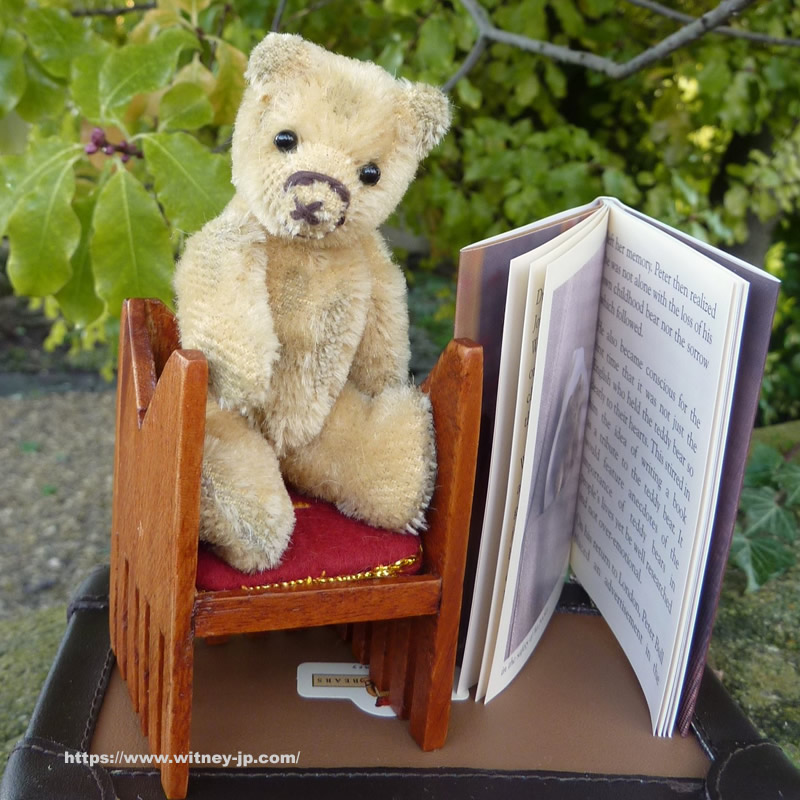 画像2: 【ウィットニー限定】セオドア　8.5cm  828番