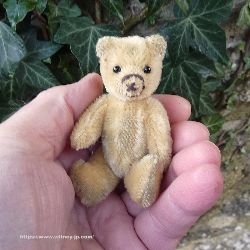 画像: 【ウィットニー限定】セオドア　8.5cm  828番