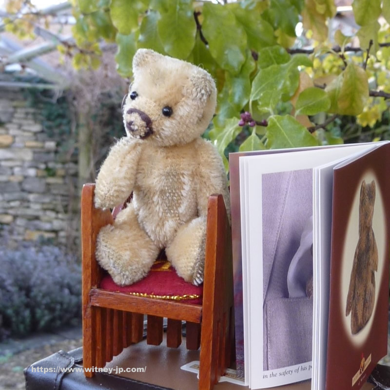 画像3: 【ウィットニー限定】セオドア　8.5cm  828番