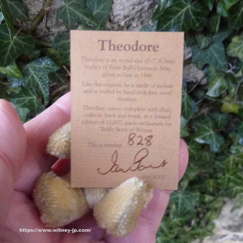 画像5: 【ウィットニー限定】セオドア　8.5cm  828番