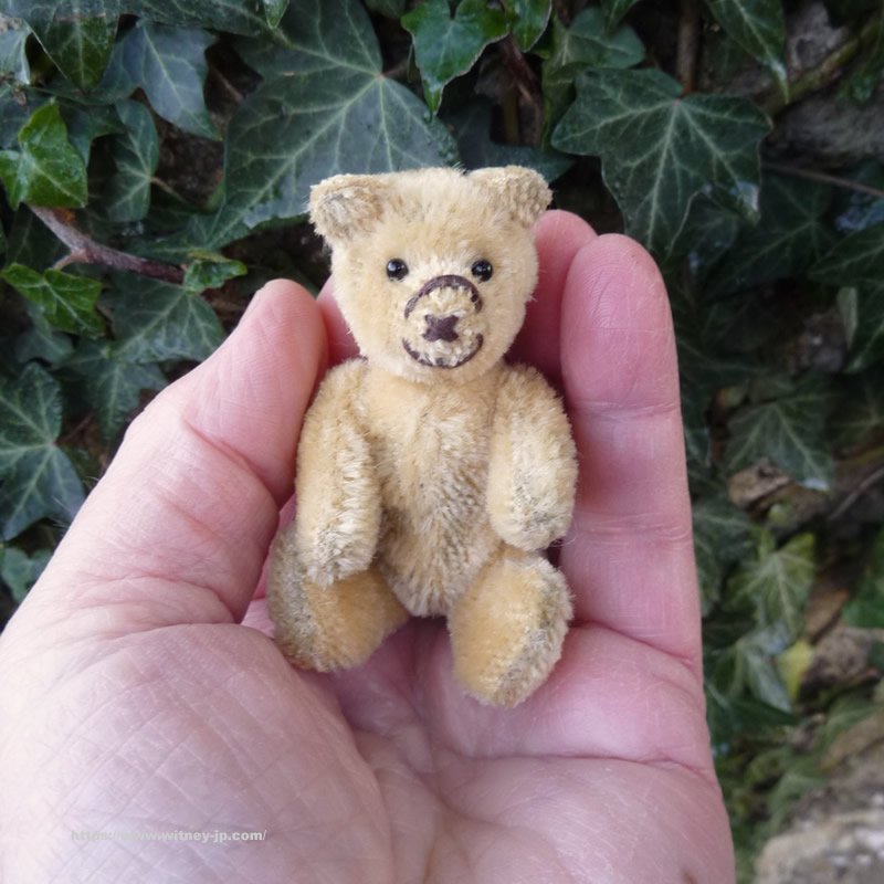 画像4: 【ウィットニー限定】セオドア　8.5cm  814番