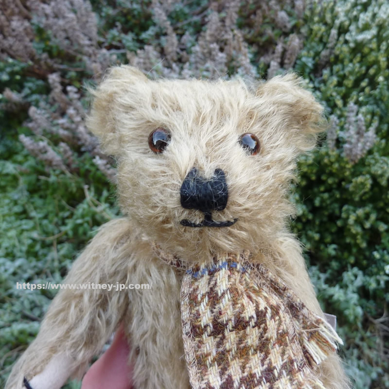 画像: ウィットニー40周年記念☆ メリーソート　【ウィットニー限定】 ティミー 20cm 75番