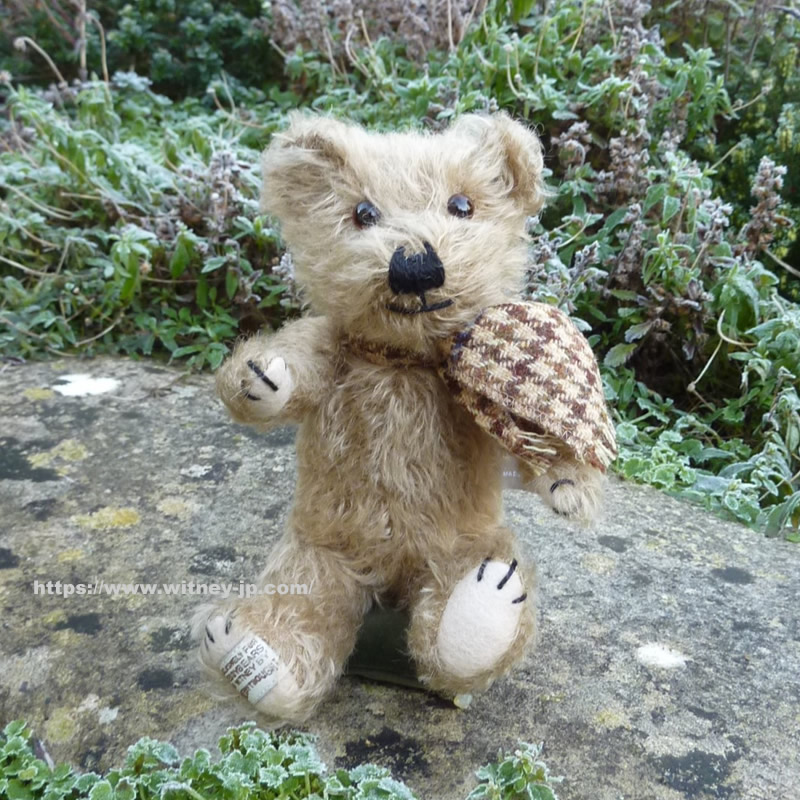 画像1: ウィットニー40周年記念☆ メリーソート　【ウィットニー限定】 ティミー 20cm 83番