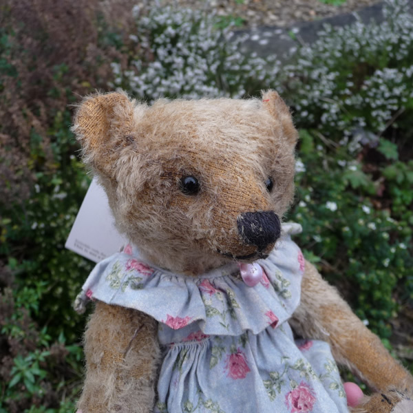 画像: 1点もの☆ Aggie Fennel by Mary 22cm（フォーゲットミーノット）