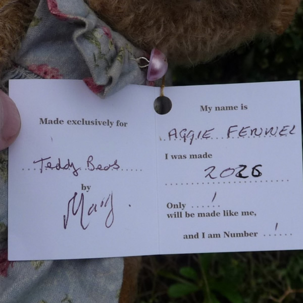 画像4: 1点もの☆ Aggie Fennel by Mary 22cm（フォーゲットミーノット）