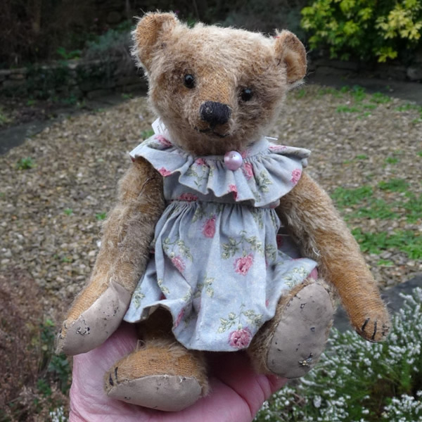 画像: 1点もの☆ Aggie Fennel by Mary 22cm（フォーゲットミーノット）