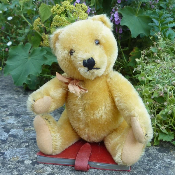 画像1: エクセレントコンディション☆ Steiff Blond Original Teddy 20cm 推定1950年代　（ビンテージ）