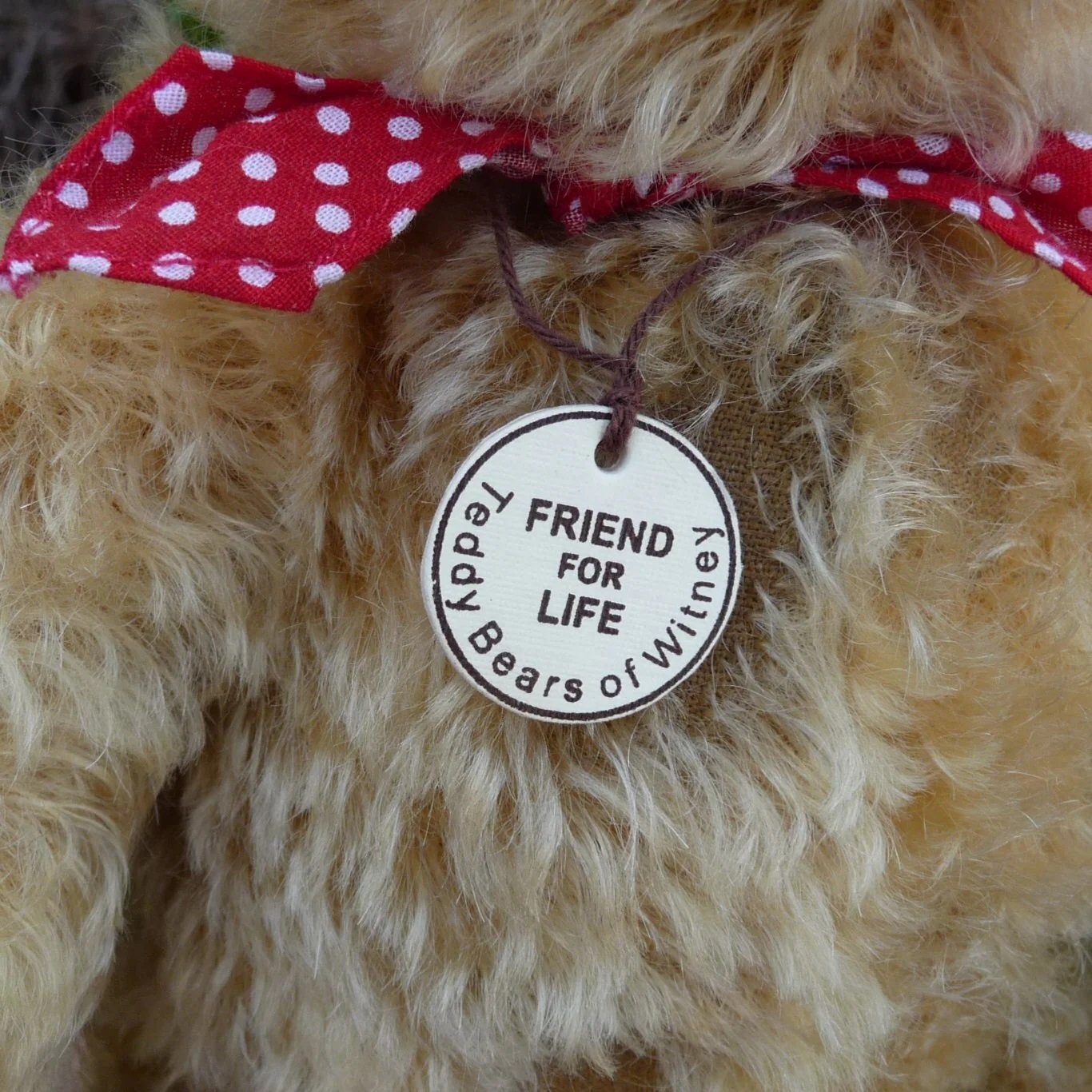 画像5: カタログ付き☆ 2010年【ウィットニー限定】フレンド・フォーライフ 40cm 76番