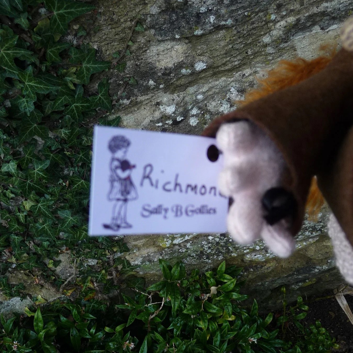 画像7: イアンさんオススメの作家様☆ 1点もの☆ Richmond by Sally Bowles 28cm（英）