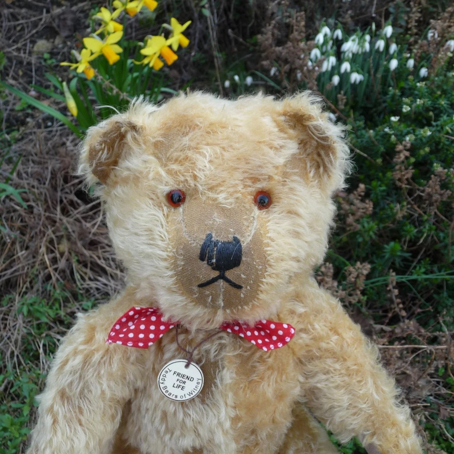 画像: カタログ付き☆ 2010年【ウィットニー限定】フレンド・フォーライフ 40cm 76番