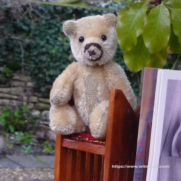 画像2: 【ウィットニー限定】セオドア　8.5cm  815番