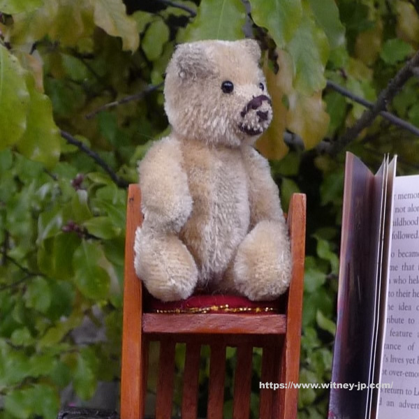 画像4: 【ウィットニー限定】セオドア　8.5cm  815番