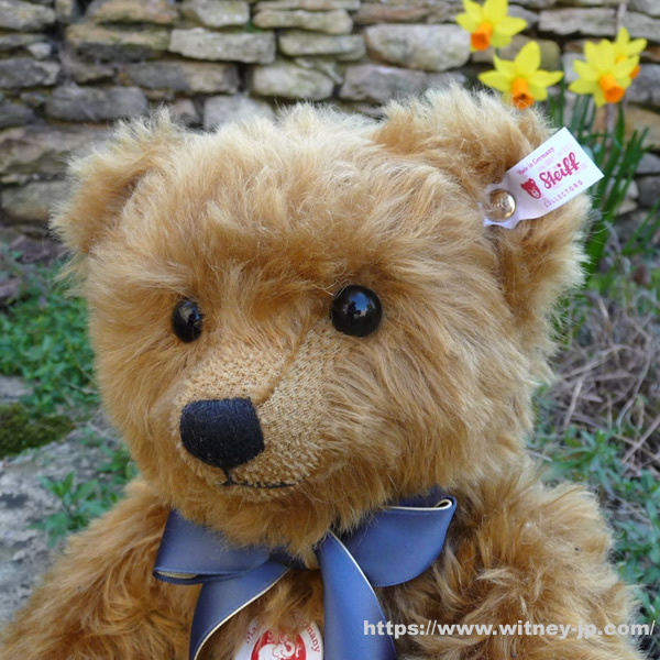 画像: 2026年新作☆ シュタイフ ブリティッシュ・コレクターズテディベア 2026 35cm　（イギリス限定）182番