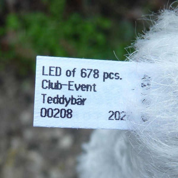 画像6: 【送料無料】 2026年新作☆ シュタイフ イベントテディベア 2026 21cm 208番