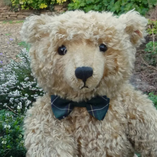 画像: おすすめです☆ 1997年発売☆シュタイフ社 ウィットニー限定「ヘンダーソン」55cm 97番