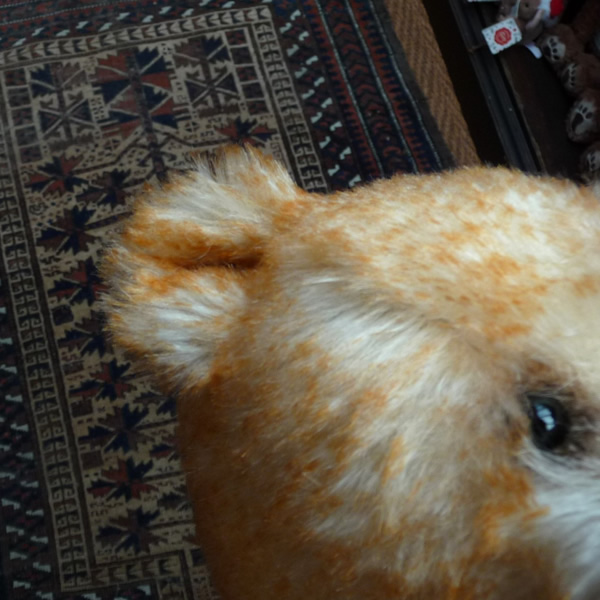 画像8: 1点もの ☆ Quinton by Sharon Barron 42cm（米）