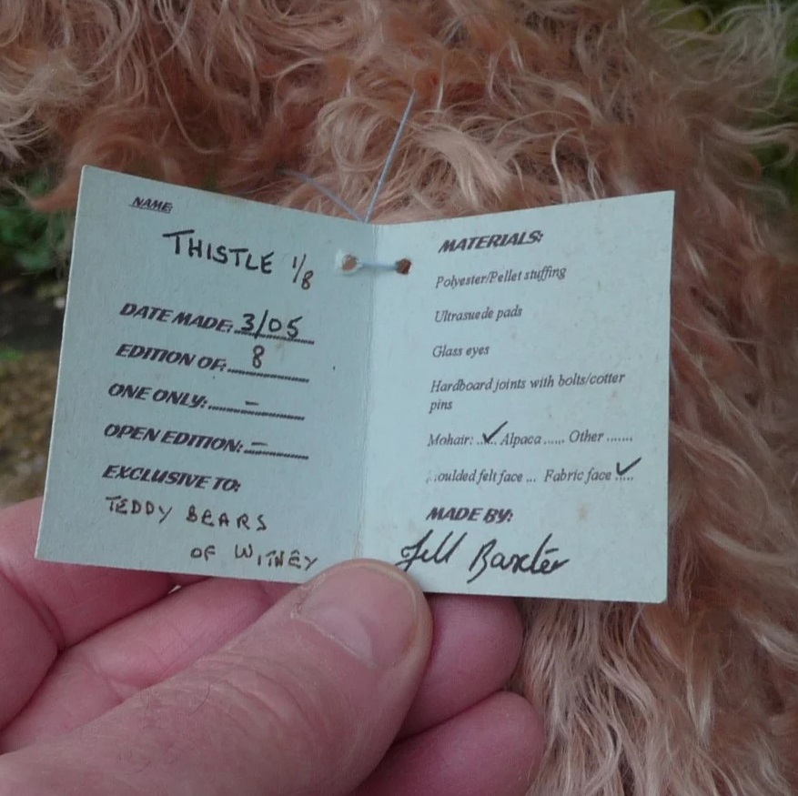 画像8: 初登場☆ シリアルナンバー 1番☆ 2005年 Thistle 43 cm by Jill Baxter （英)