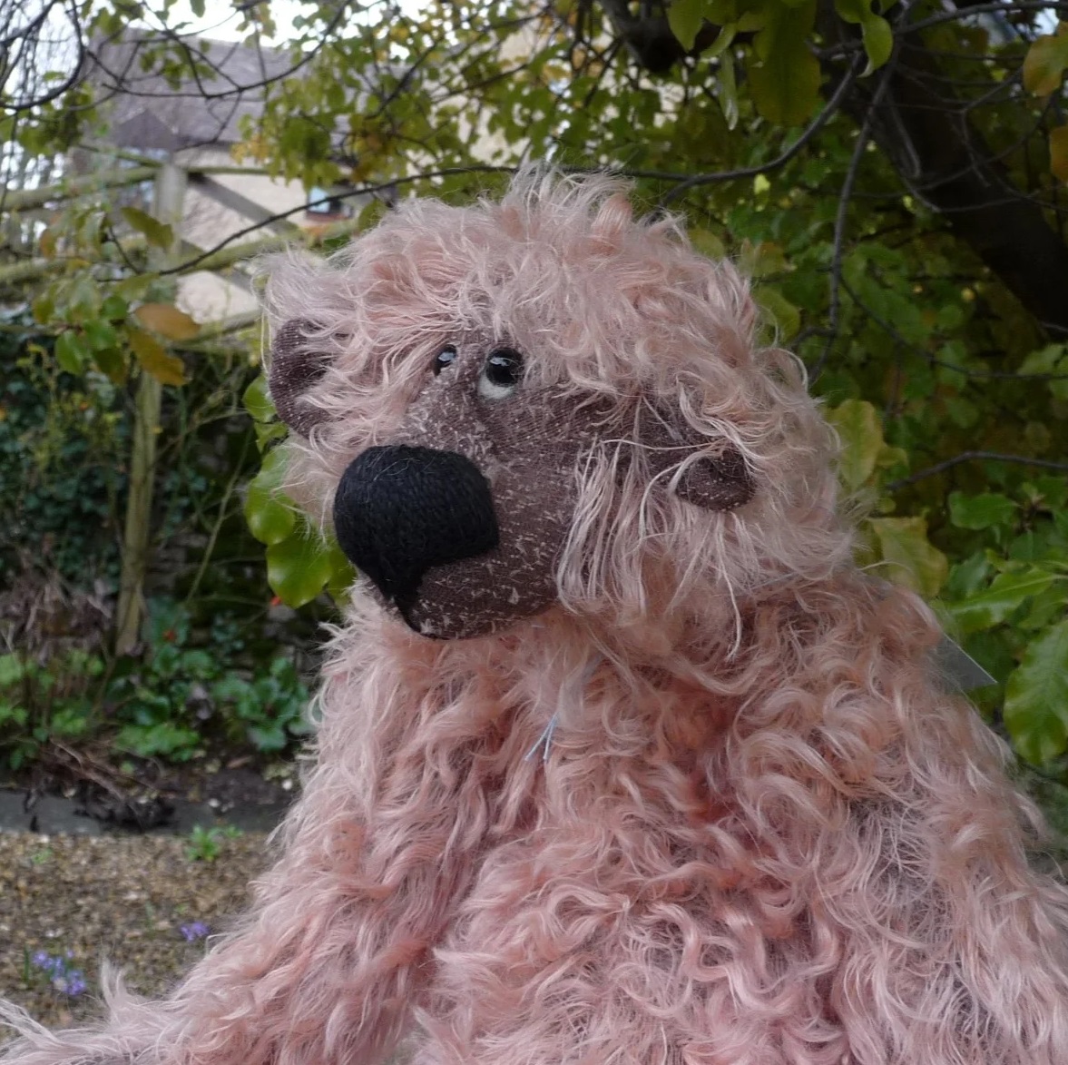 画像: 初登場☆ シリアルナンバー 1番☆ 2005年 Thistle 43 cm by Jill Baxter （英)