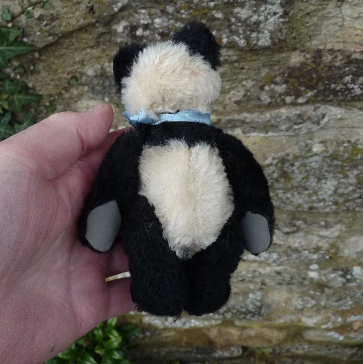 画像6: 13cm Steiff Panda 推定1951年〜1961年頃　（ビンテージ）