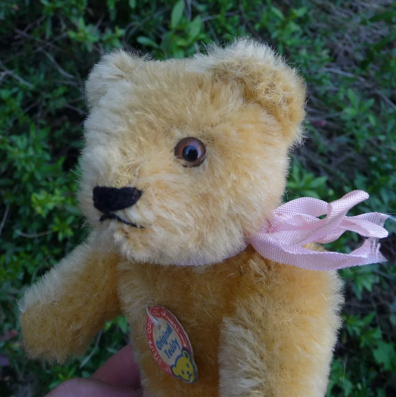 画像5: Steiff Blond Original Teddy 15cm 推定1960年代　（ビンテージ）