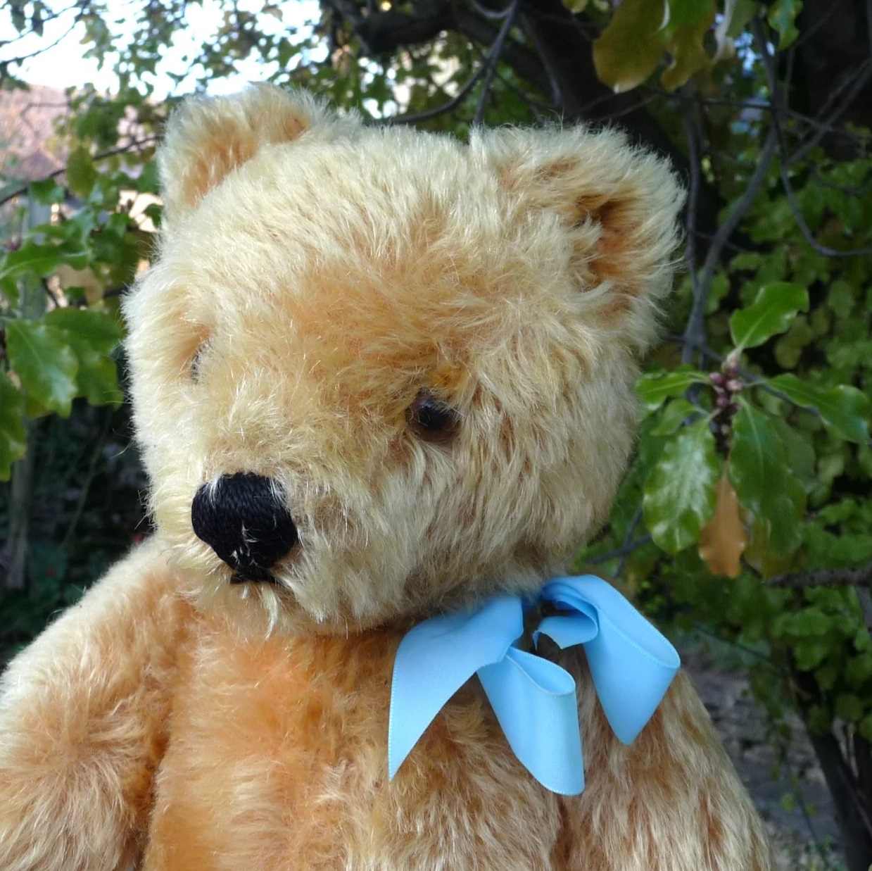 画像4: エクセレントコンディション☆ Steiff Yellow-Blond Original Teddy 37cm 推定1950年代　（ビンテージ）