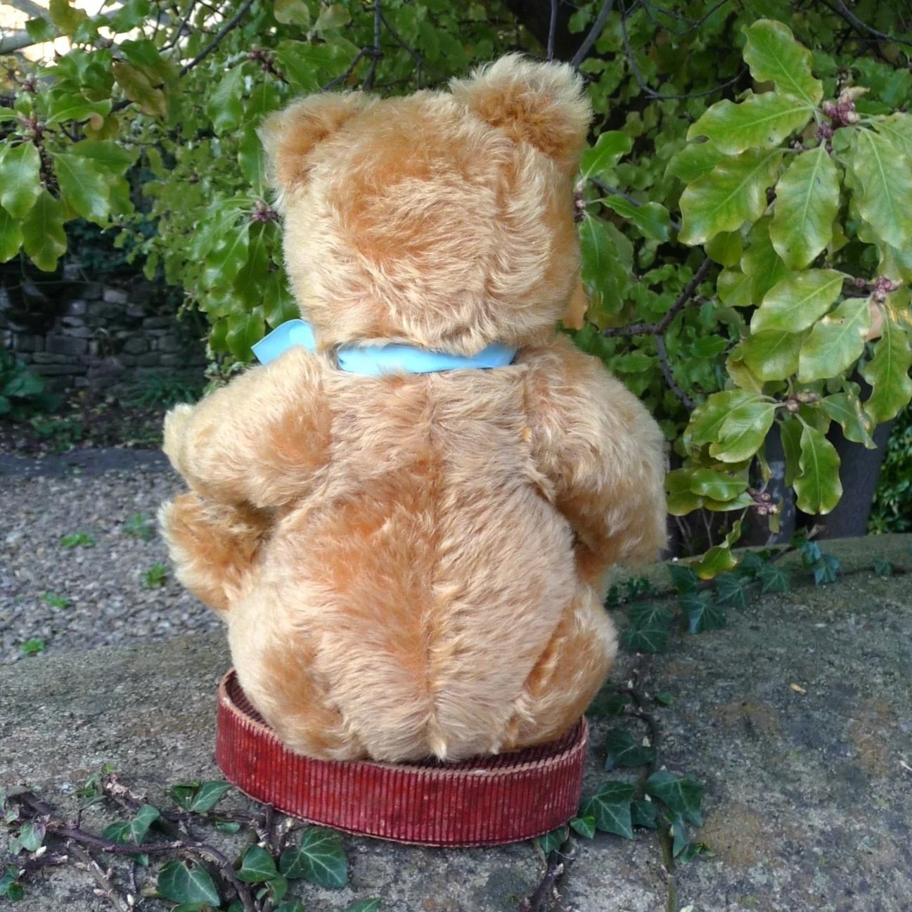 画像: エクセレントコンディション☆ Steiff Yellow-Blond Original Teddy 37cm 推定1950年代　（ビンテージ）