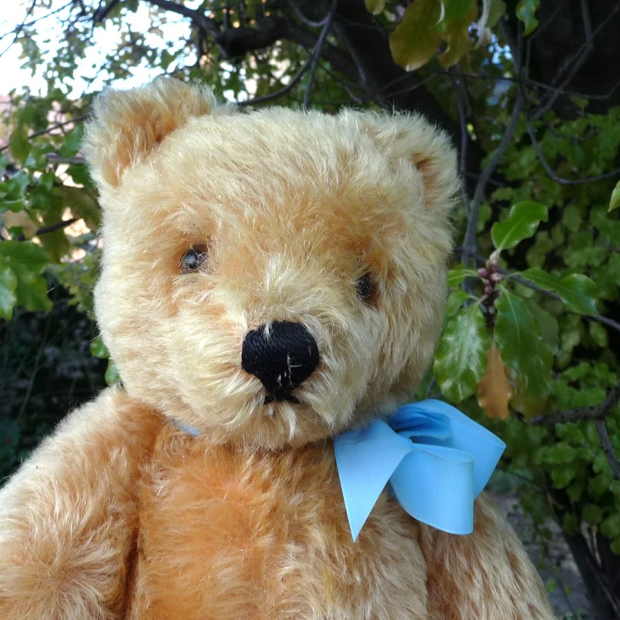 画像: エクセレントコンディション☆ Steiff Yellow-Blond Original Teddy 37cm 推定1950年代　（ビンテージ）