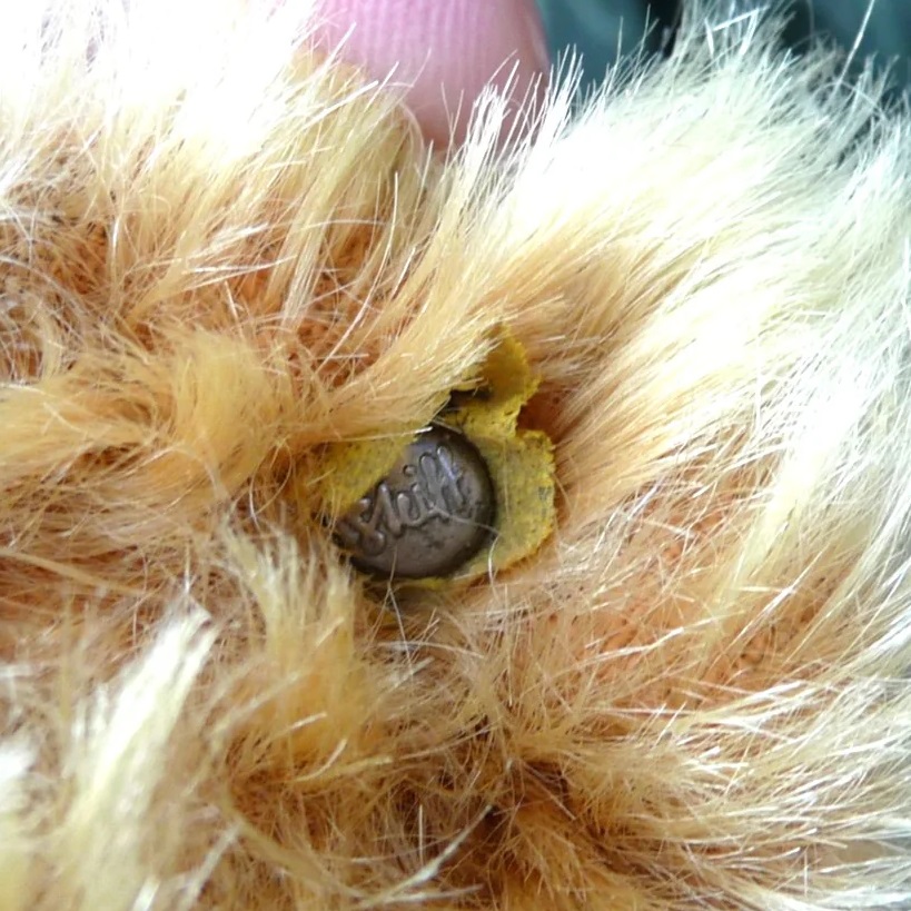 画像6: エクセレントコンディション☆ Steiff Yellow-Blond Original Teddy 37cm 推定1950年代　（ビンテージ）