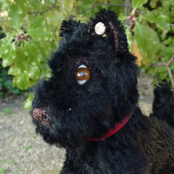 画像5: 10cm Steiff Scotty 1950年-1957年頃　（ビンテージ）