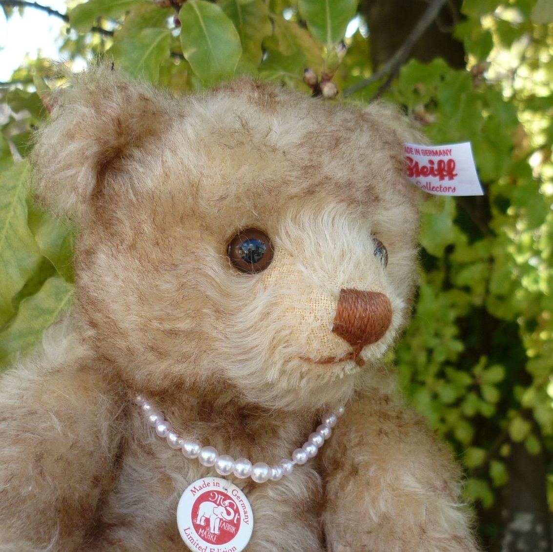 画像5: 【ウィットニー限定】　シュタイフ ハッピー 22cm 　244番