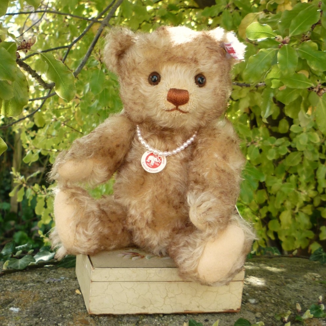 画像2: 【ウィットニー限定】　シュタイフ ハッピー 22cm 　244番