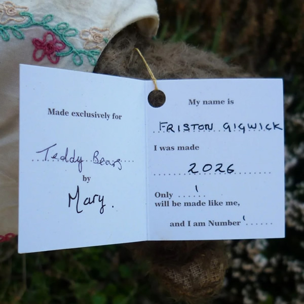 画像7: 1点もの☆ Fristin Gigwick by Mary 26 cm（フォーゲットミーノット）