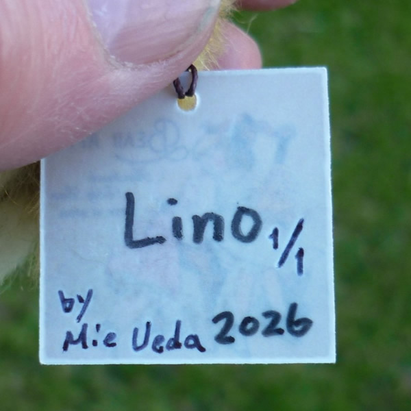 画像5: イアンさんのお気に入り☆ 1点もの☆ Lino by Mie Ueda 10.5 cm　(日本）