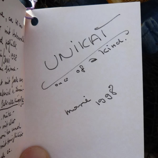 画像12: 入手困難な作品です！ 1998年 ☆ Robin 40cm by マリー・ロビション（ドイツ）