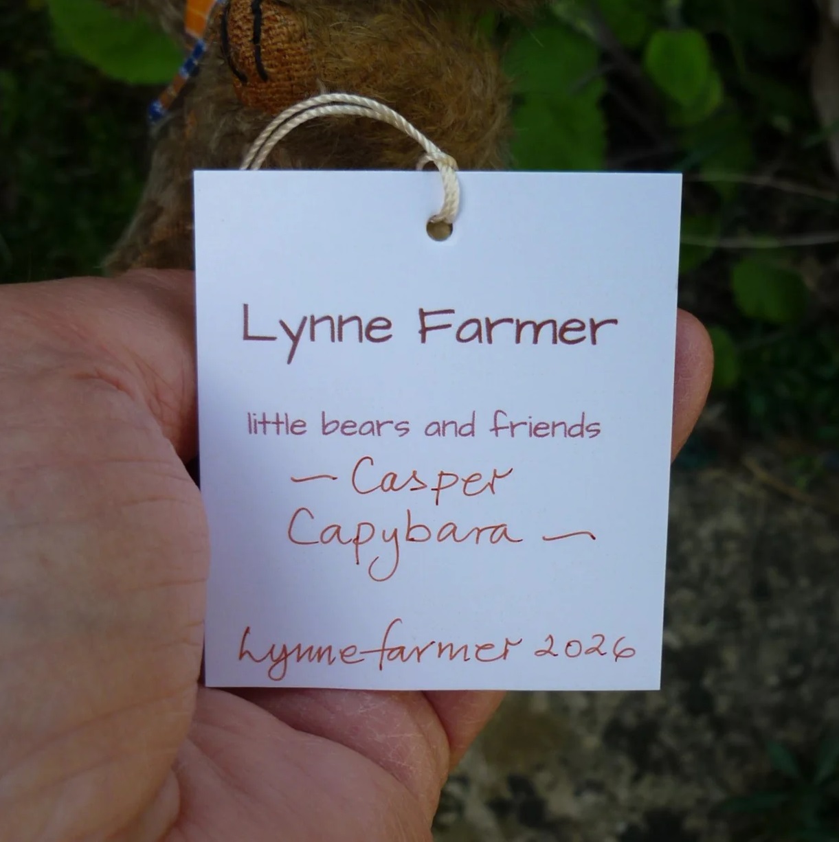 画像5: イアンさんのお気に入り☆ 1点もの☆　カピバラのキャスパー13 cm by Lynne Farmer（英）