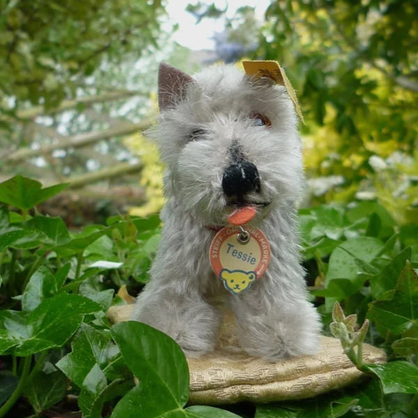 画像3: ID全てあり！　Steiff Tessie Schnauzer 1951年 ~ 1957年頃 10cm （ビンテージ）