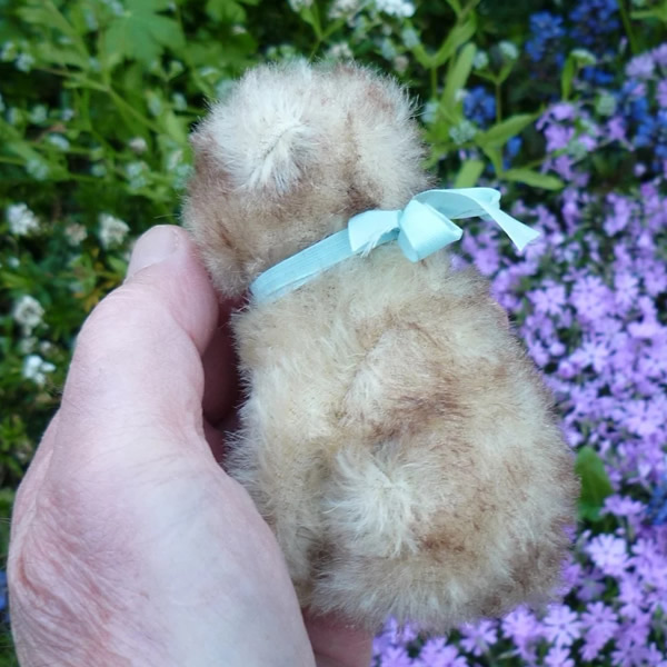 画像: 10cm Steiff Molly Puppy 推定1960年〜1967年頃　（ビンテージ）