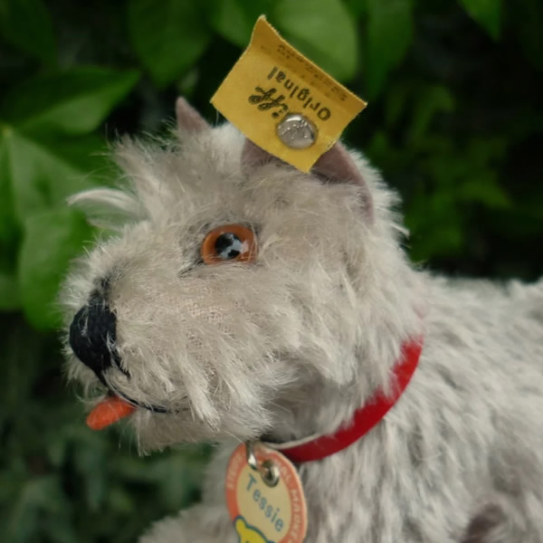 画像2: ID全てあり！　Steiff Tessie Schnauzer 1951年 ~ 1957年頃 10cm （ビンテージ）