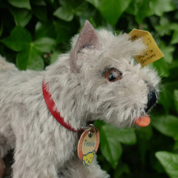 画像: ID全てあり！　Steiff Tessie Schnauzer 1951年 ~ 1957年頃 10cm （ビンテージ）
