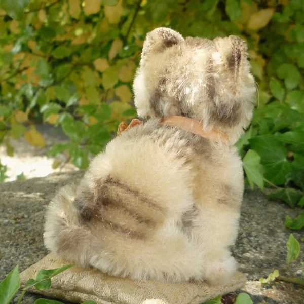 画像3: 大変かわいいお顔です☆ 10cm Steiff Susi Cat 推定1950年-1960年代（ビンテージ）