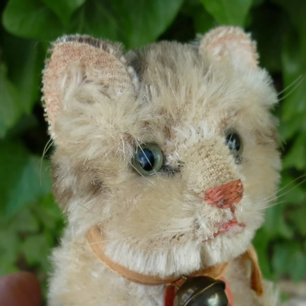 画像6: 大変かわいいお顔です☆ 10cm Steiff Susi Cat 推定1950年-1960年代（ビンテージ）