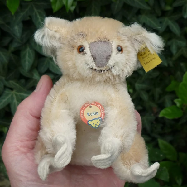 画像: ID全てあり☆ 12cm Steiff Koala Bear 推定1959年-1961年代（ビンテージ）