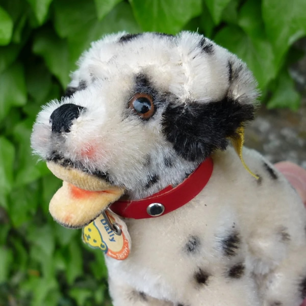 画像: ID全てあり！素晴らしい状態です☆ 10cm Steiff Dally Dalmatian Sitting 1959年〜1967年頃　（ビンテージ）