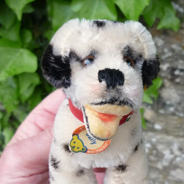 画像: ID全てあり！素晴らしい状態です☆ 10cm Steiff Dally Dalmatian Sitting 1959年〜1967年頃　（ビンテージ）