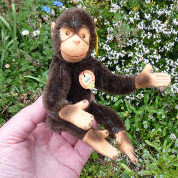 画像: ID全てあり！新品のような状態です☆ 16cm Steiff Jocko Chimpanzee 1978年〜1981年頃　（ビンテージ）