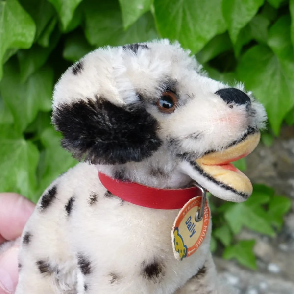 画像4: ID全てあり！素晴らしい状態です☆ 10cm Steiff Dally Dalmatian Sitting 1959年〜1967年頃　（ビンテージ）