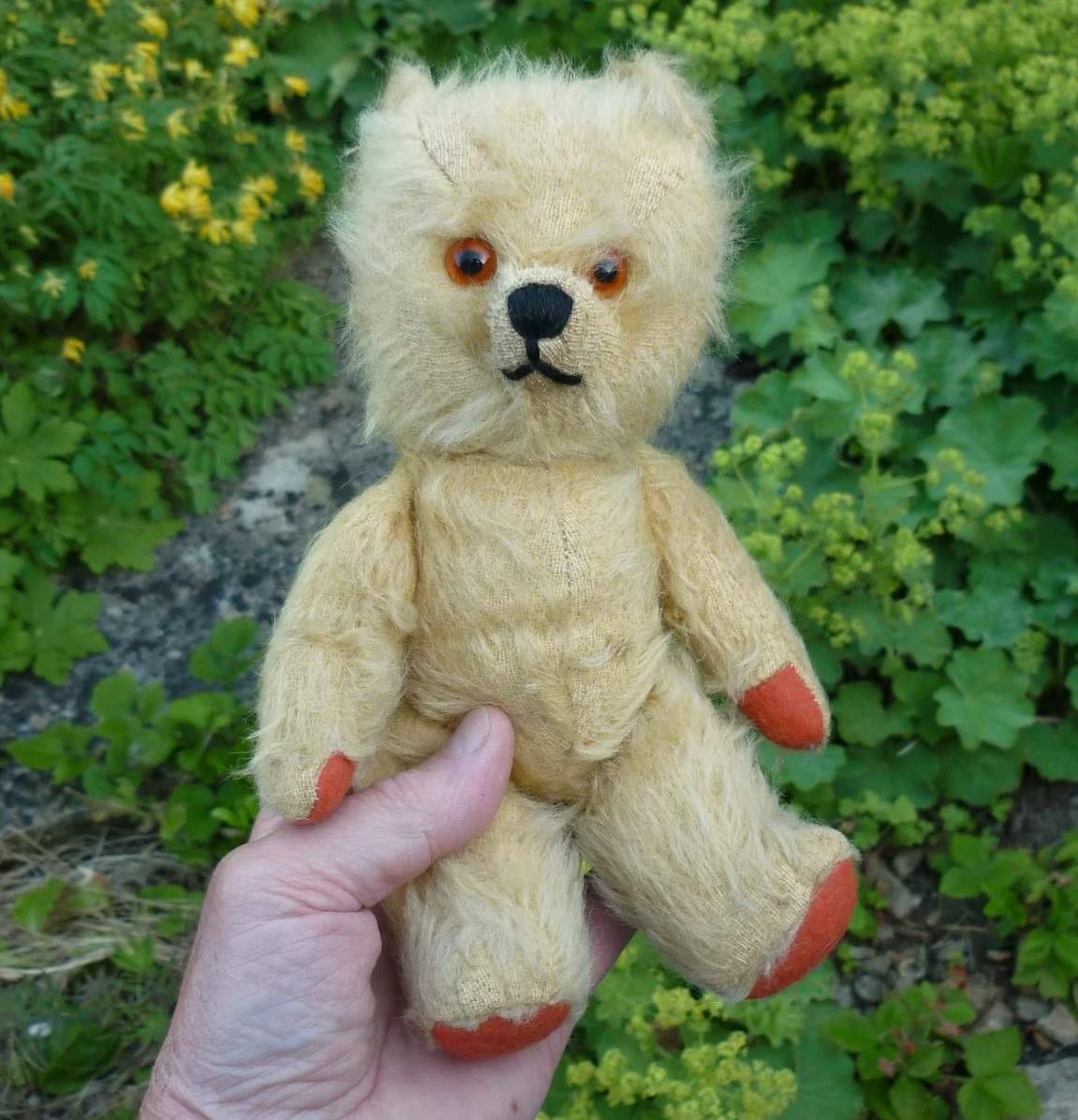 画像2: 1940〜1950年代頃 テディベア（おそらくフランス製） 23cm 　 (ビンテージ）